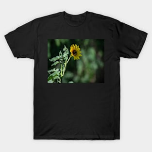 Wake Up and Follow the Sun Little Sunflower T-Shirt